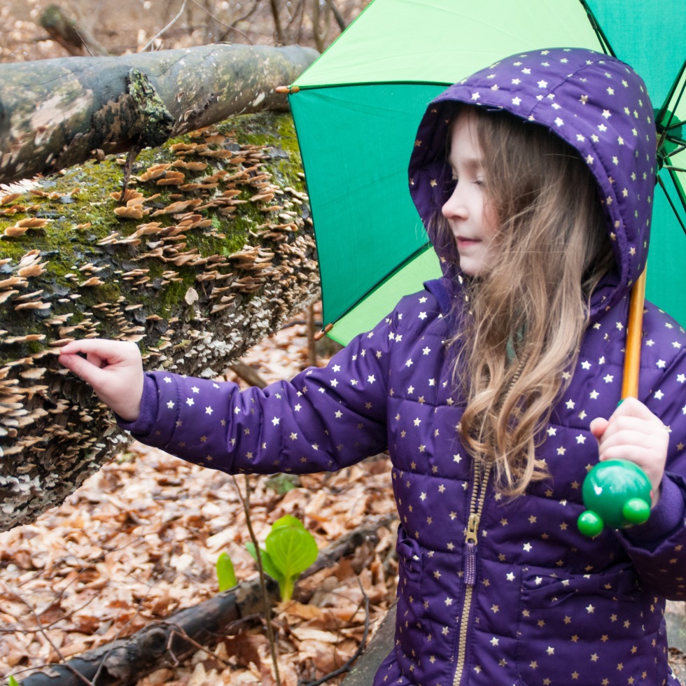 Even on a rainy day, getting outside is so much fun and you can learn a lot about nature and how it functions.